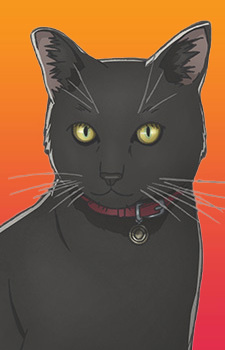 Чёрная кошка / Black Cat